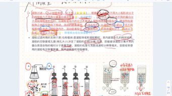 分离纯化蛋白质/测定蛋白质相对分子质量的方法—凝胶过滤法哔哩哔哩bilibili