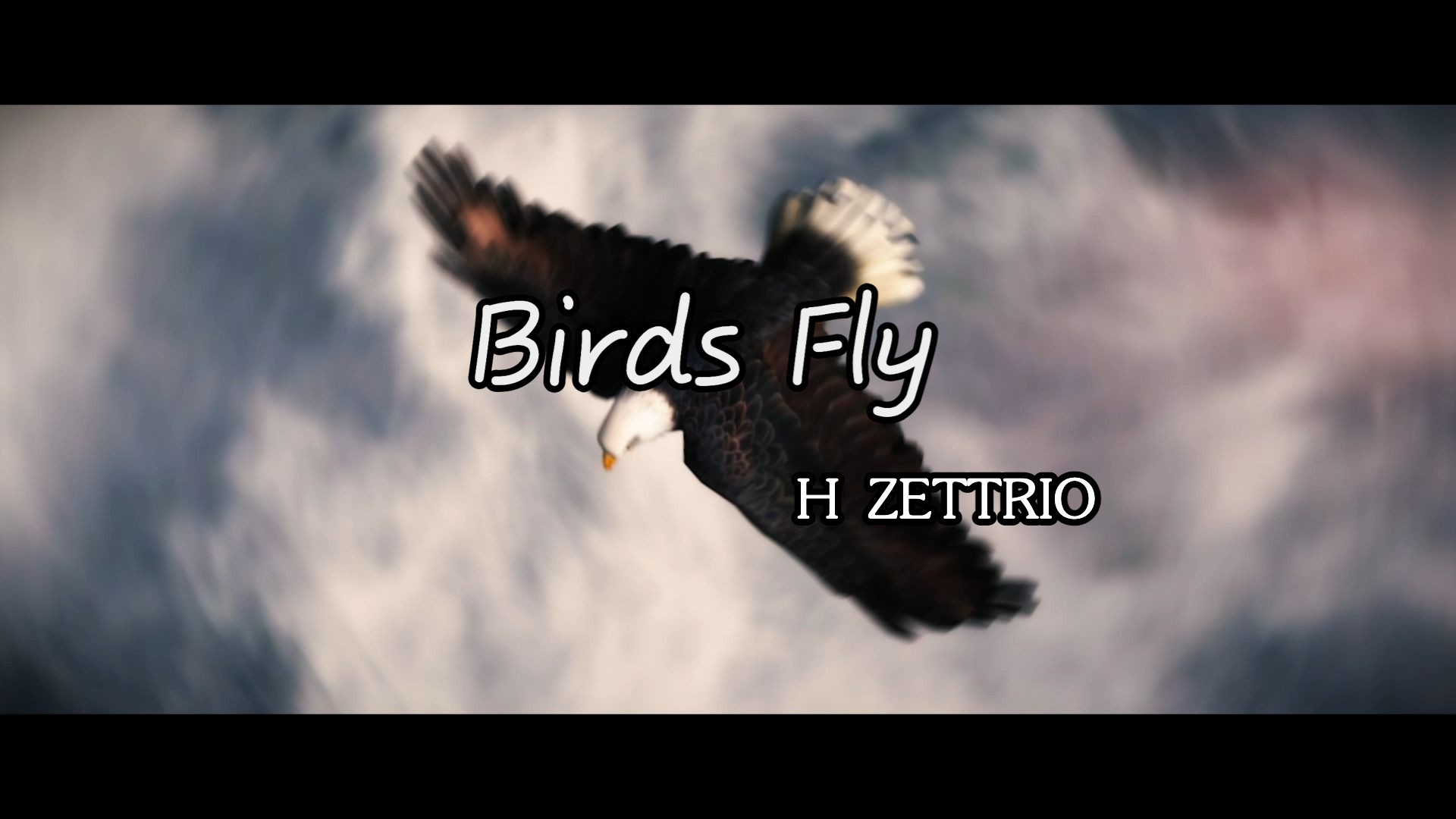 [图]【H ZETTRIO】Birds Fly