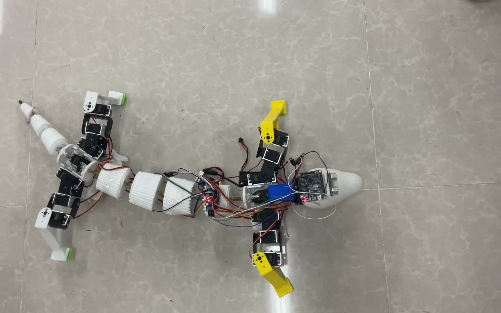 仿生蜥蜴机器人——高度还原