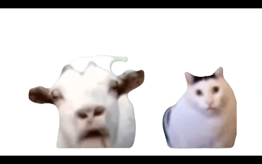 这下听懂了.吐舌羊和huh猫倒放