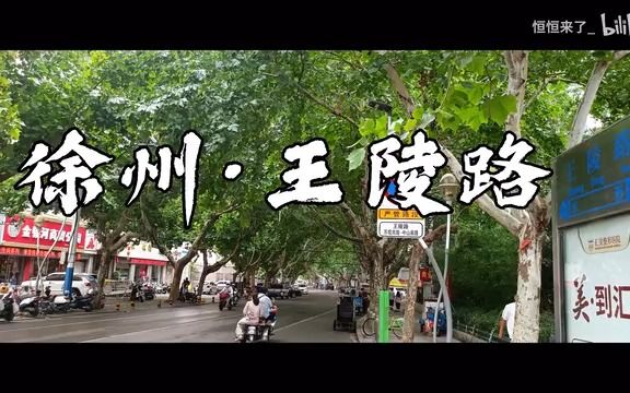 「vlog」徐州最美王陵路_徐州梧桐大道_徐州最有文艺气息的道路_人文