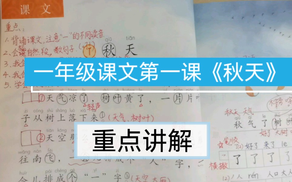 一年级上册课文第一课《秋天》,五个重点讲解,家长一看就会,辅导孩子很轻松,你们都开始学习课文了吗?哔哩哔哩bilibili