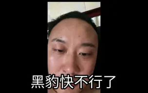 Descargar video: 黑豹通宵透支身体，快不行了