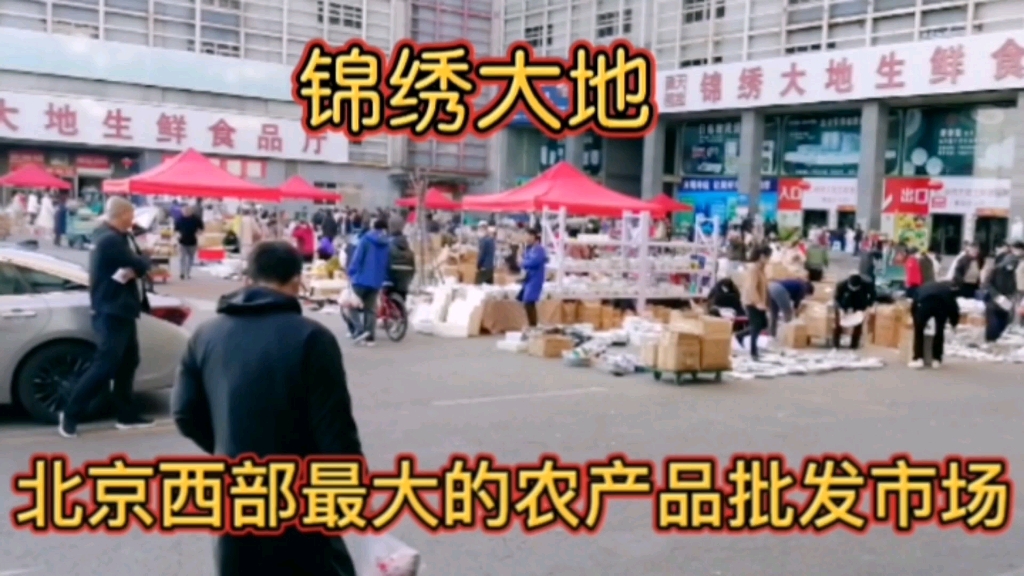 锦绣大地北京西部最大农产品批发市场,探访为首都服务的菜篮子