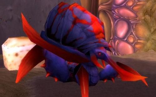 安琪拉废墟 raq 吞咽者布鲁 魔兽世界 怀旧服 light