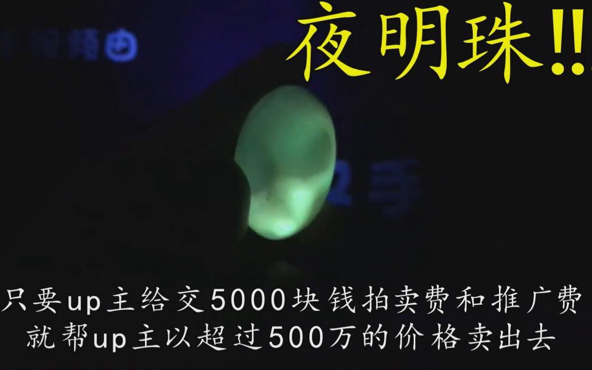 [图]小伙网上19.9买了一颗夜明珠，找专家鉴定说价值500万，要拍卖的话要交5000元拍卖费