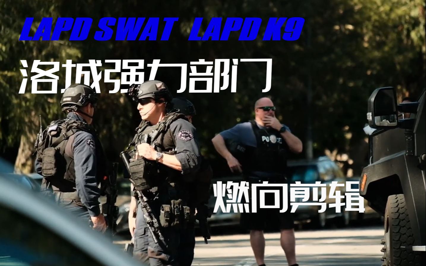 [图]“洛杉矶的黑夜由我们打破”【燃向混剪/Whatever it takes】LAPD SWAT/K9