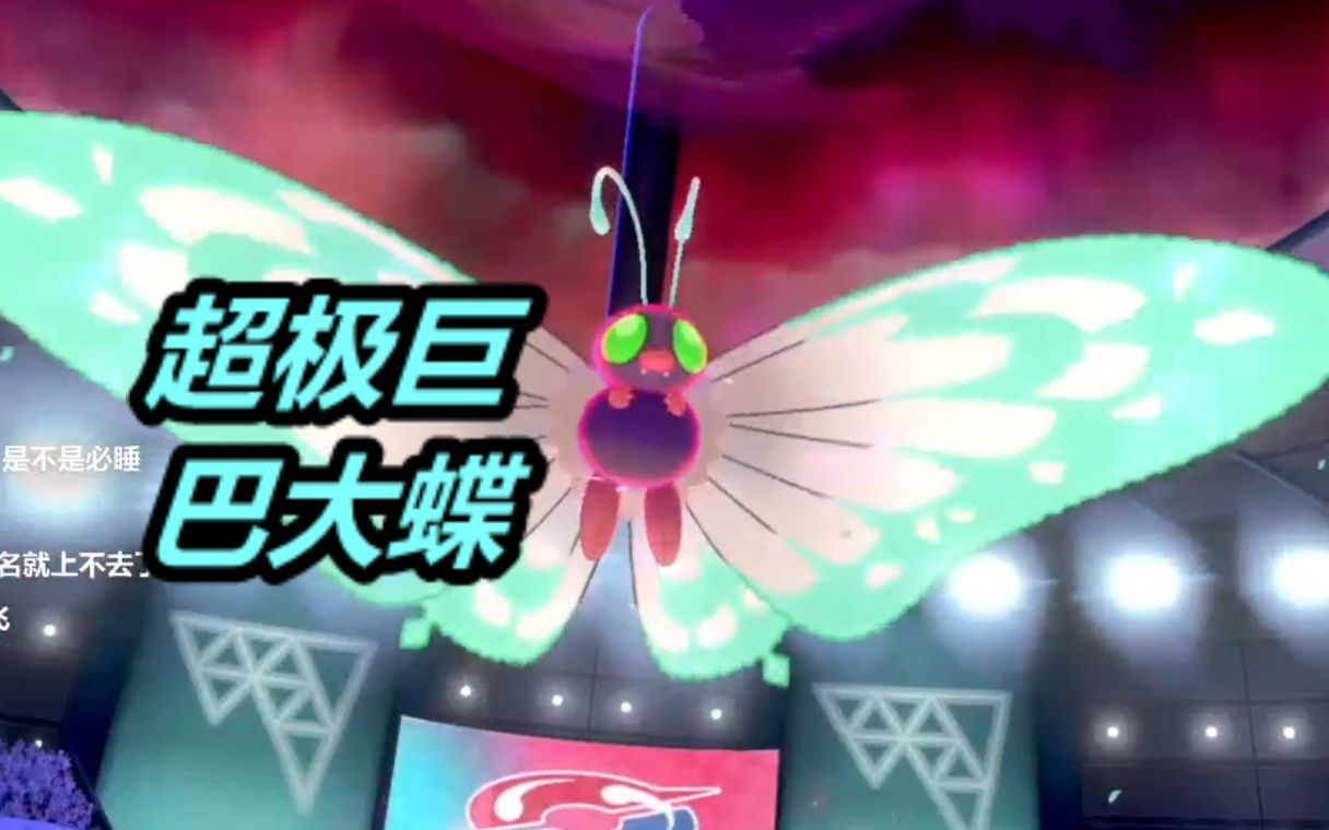 超极巨巴大蝶的试探宝可梦剑盾银风剑盾排位55
