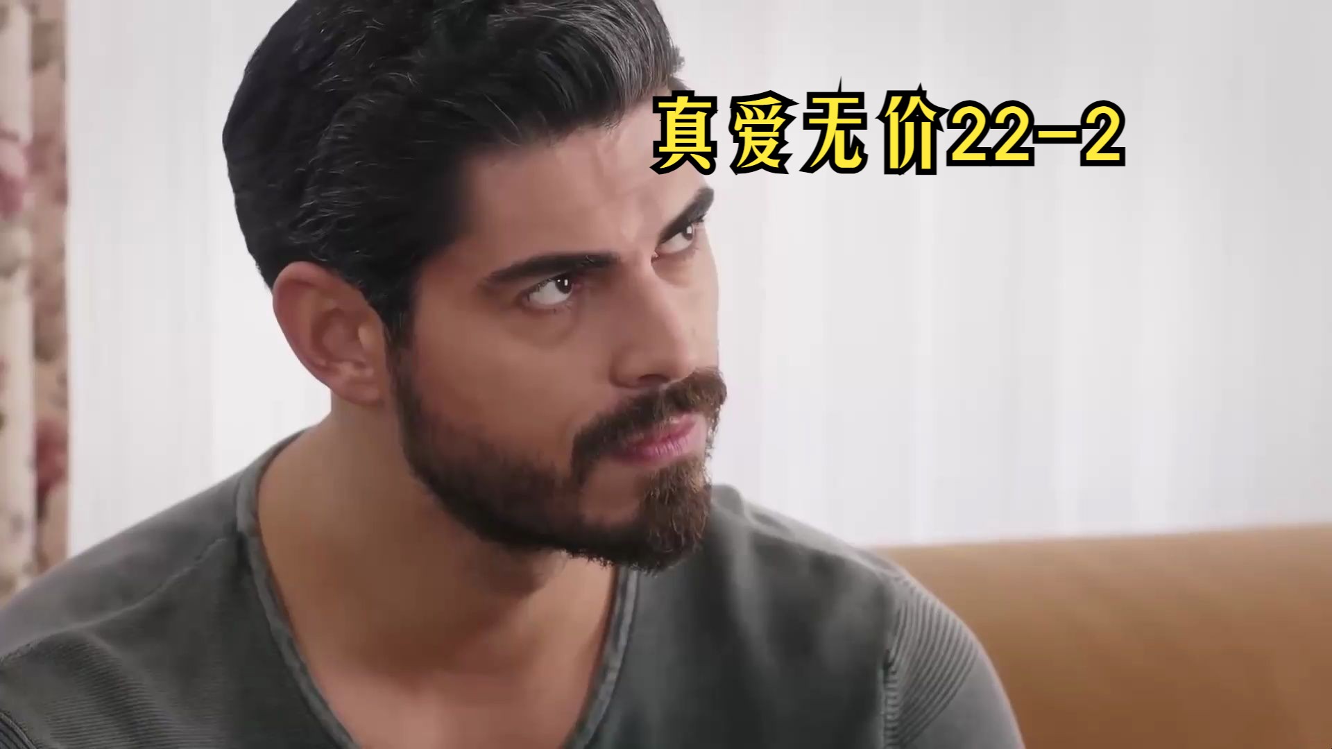 【第22集中字】土耳其剧:真爱无价 22-2