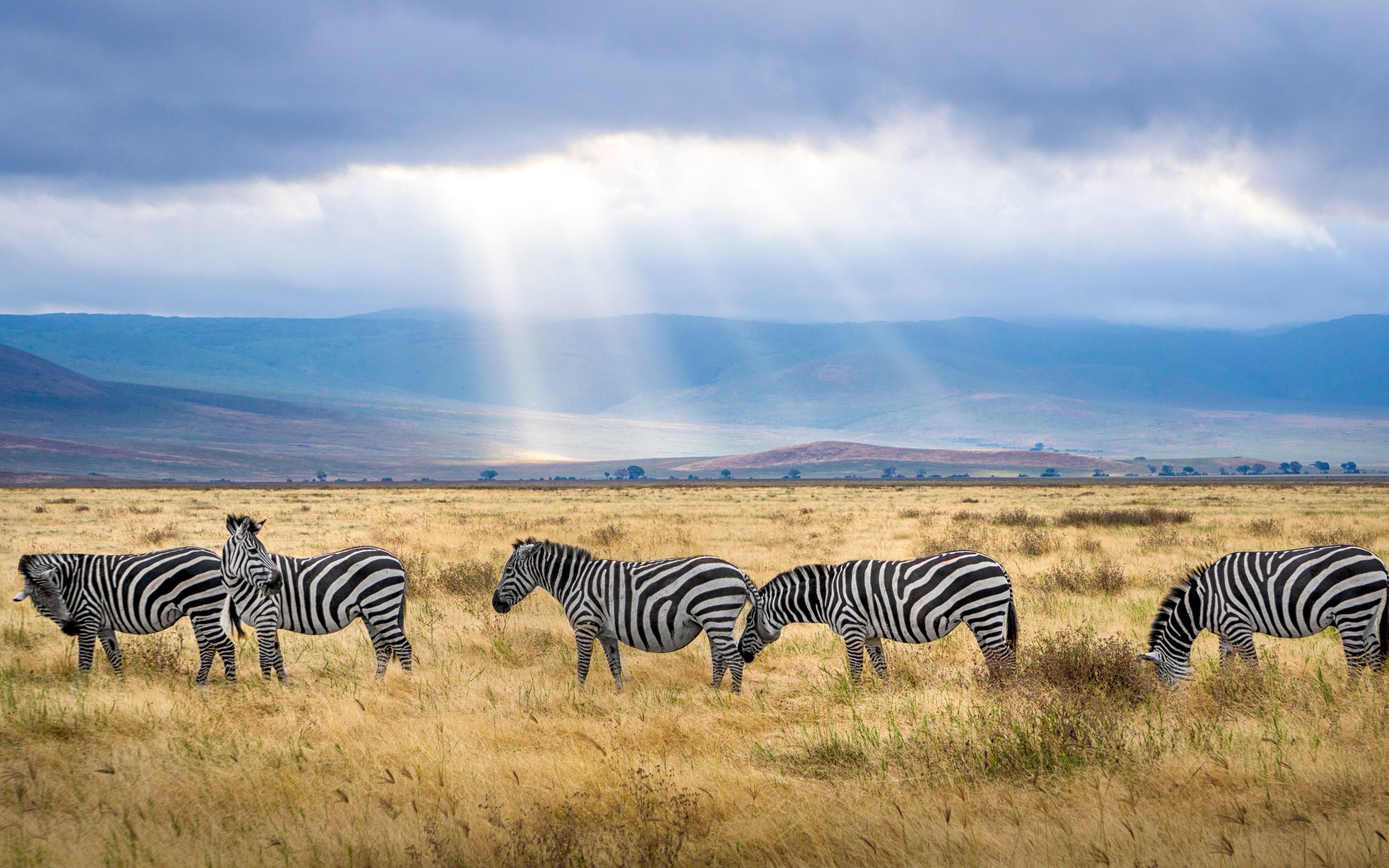 南非——全球十大最美国家