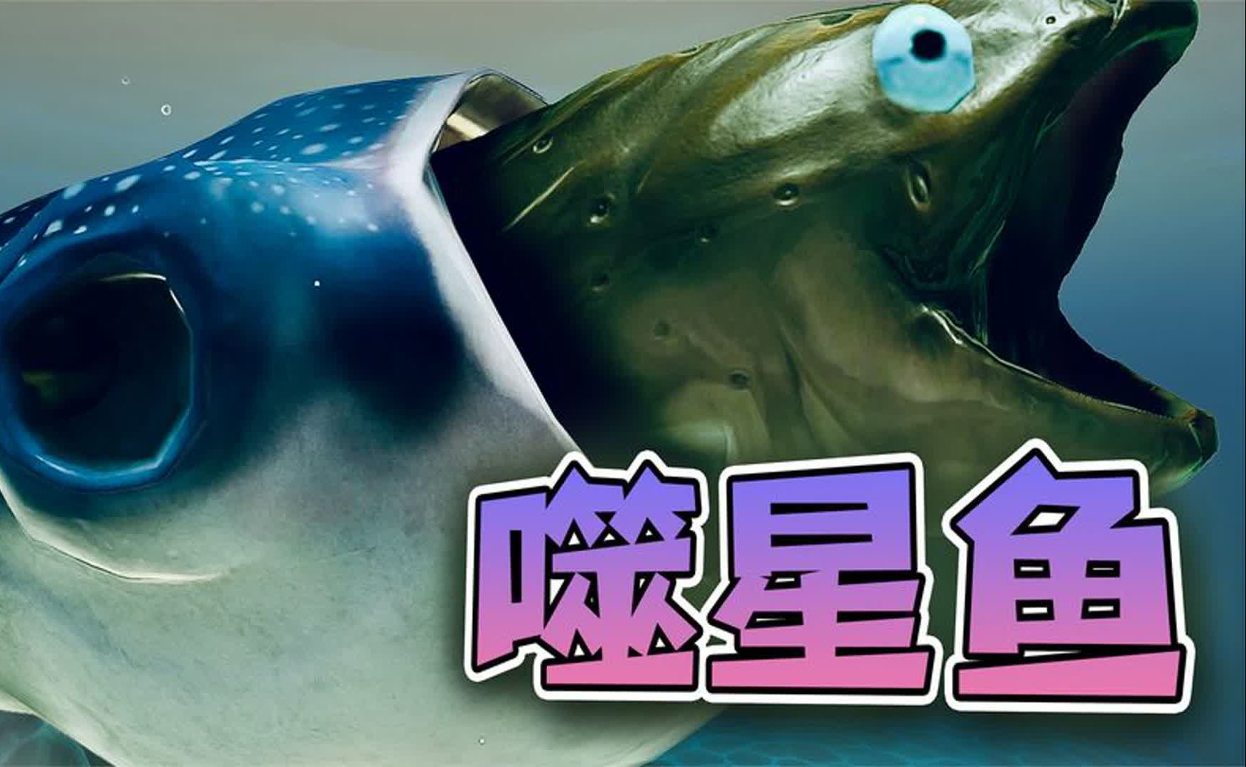 海底大猎杀:我是噬星鱼族,大嘴吃四方,一口吞万物!