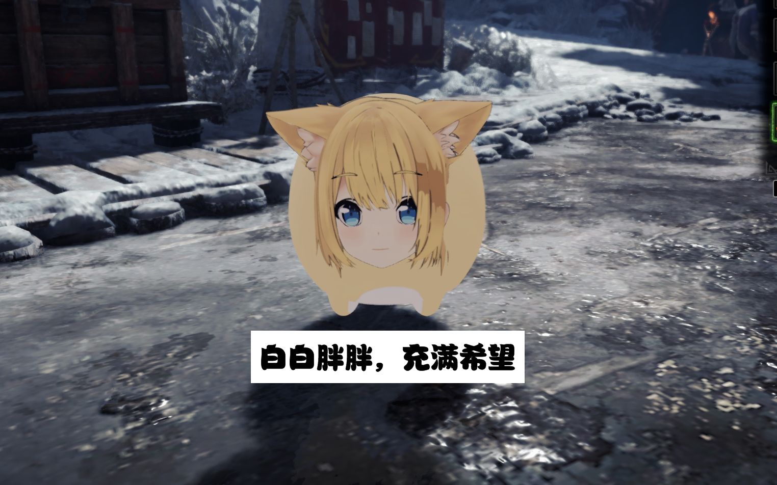 白白胖胖充满希望