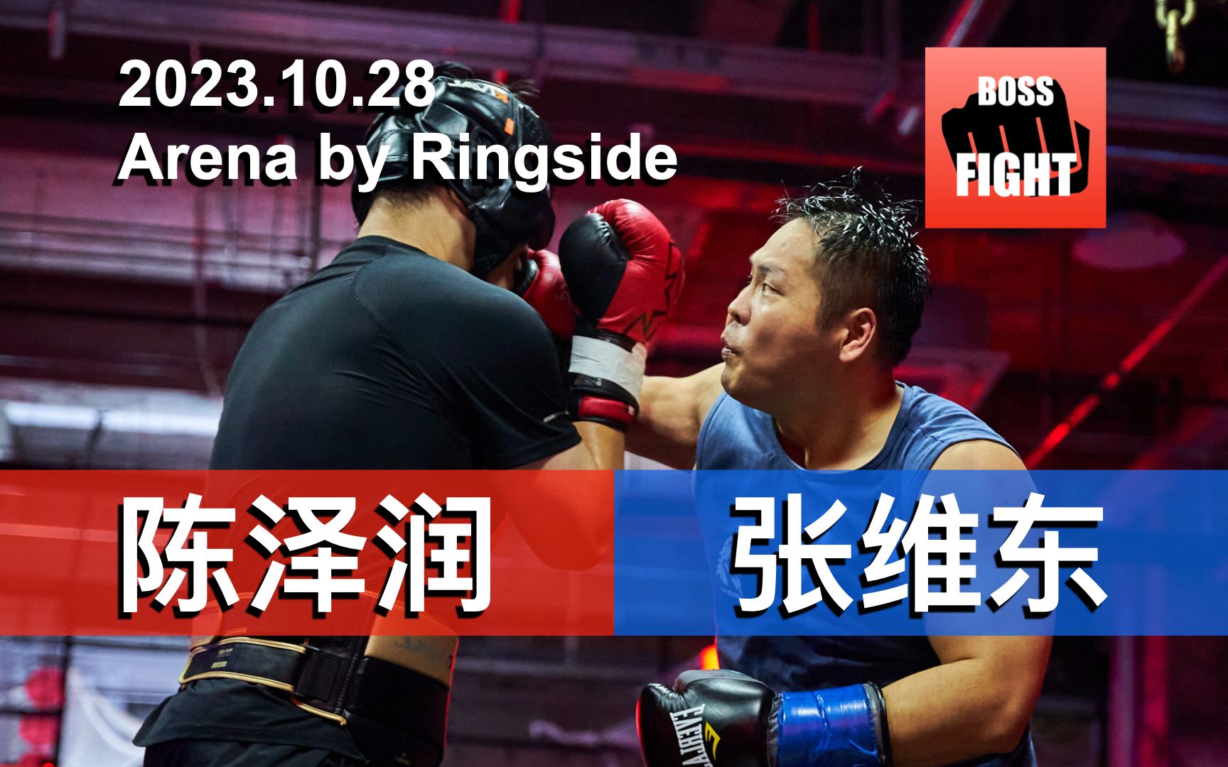 陈泽润 vs 张维东 | 上海 The Arena by Ringside | 业余拳击比赛 | 2023.10.28哔哩哔哩bilibili