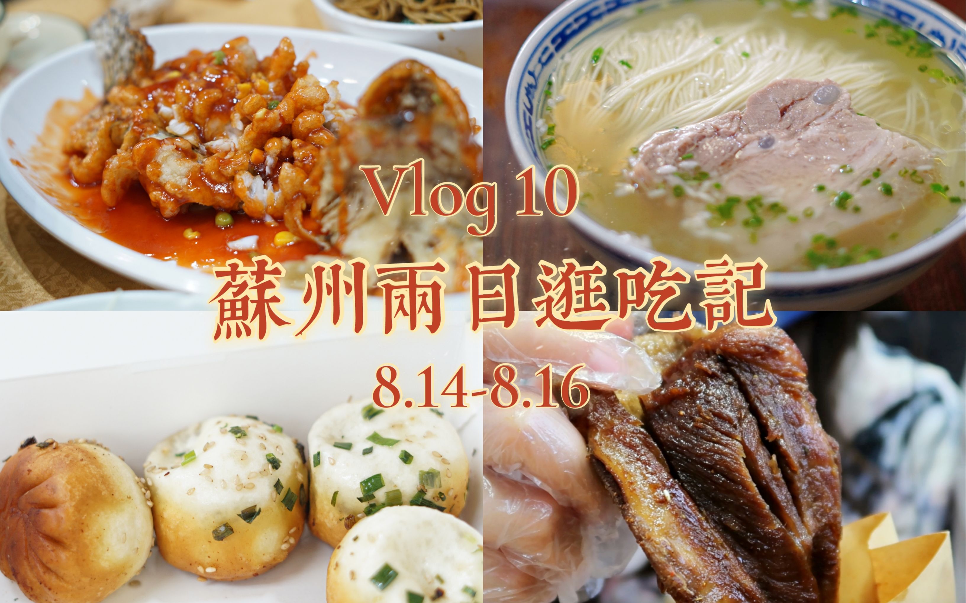 [图]【Vlog10】苏州两日逛吃记|苏州旅游攻略|苏州怎么这么好吃!|苏州美食|山塘夜景|偶遇宇宙的太|哑巴生煎同德兴珍珠饭店好欢螺