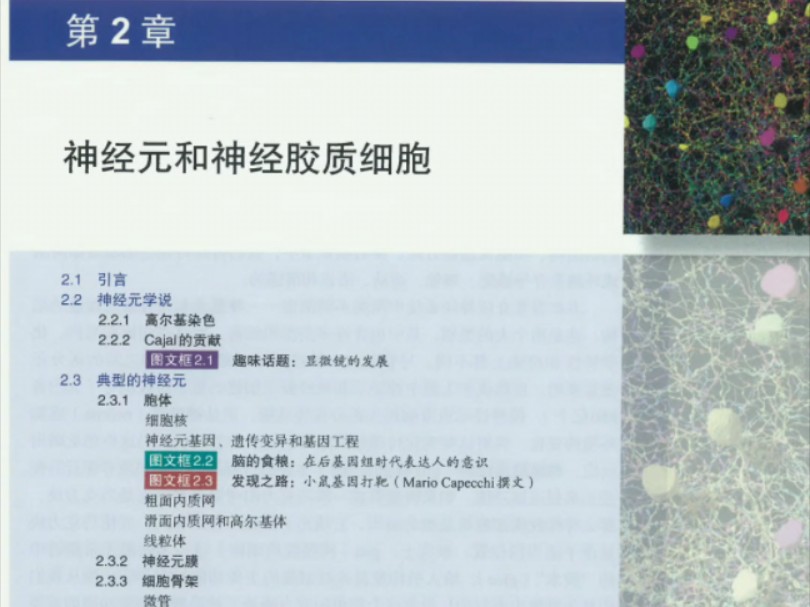 [图]朗读《神经科学:探索脑（第四版）》2.1-2.2