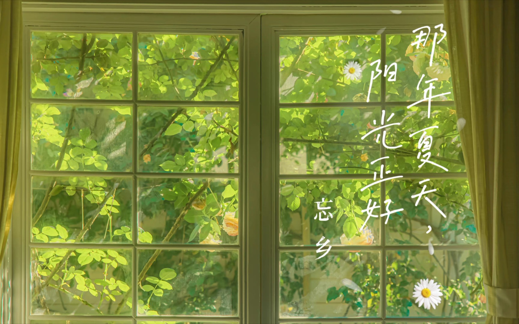 [图]日推歌曲 | 纯音乐《那年夏天，阳光正好》 你也有怀念那年夏天吗？ 治愈温柔系～