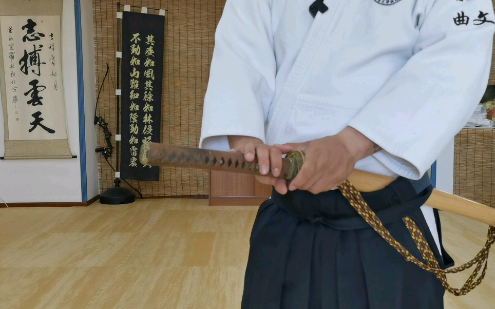 合气道教学篇之合气居合刀法-一教的血振和纳刀详解.