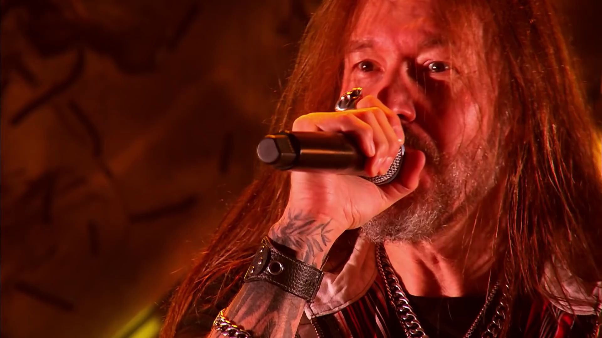 瑞典重金属/力量金属hammerfall(雷神之锤)- keep the flame burning