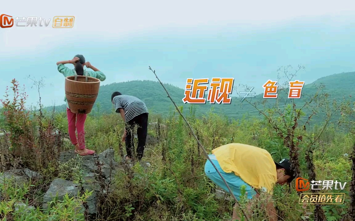 变形史上暴走少年郑子豪 cut4-12 豪哥和两兄妹去采草药&豪哥爸妈来接