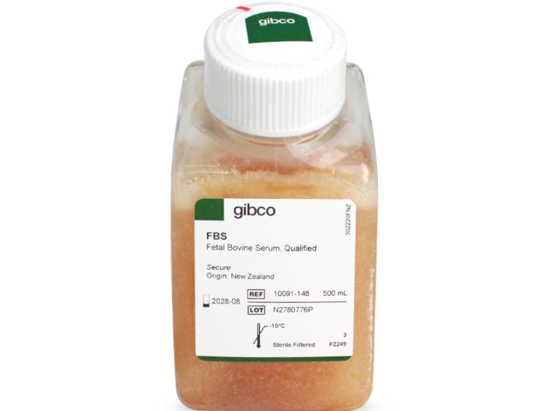 gibco胎牛血清,有库存,价格优惠,欢迎咨询