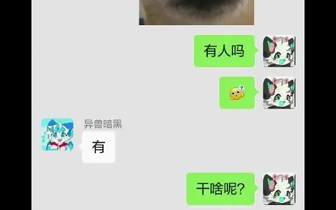 在凌凯的兽群冒充林铠群主的一天哔哩哔哩bilibili