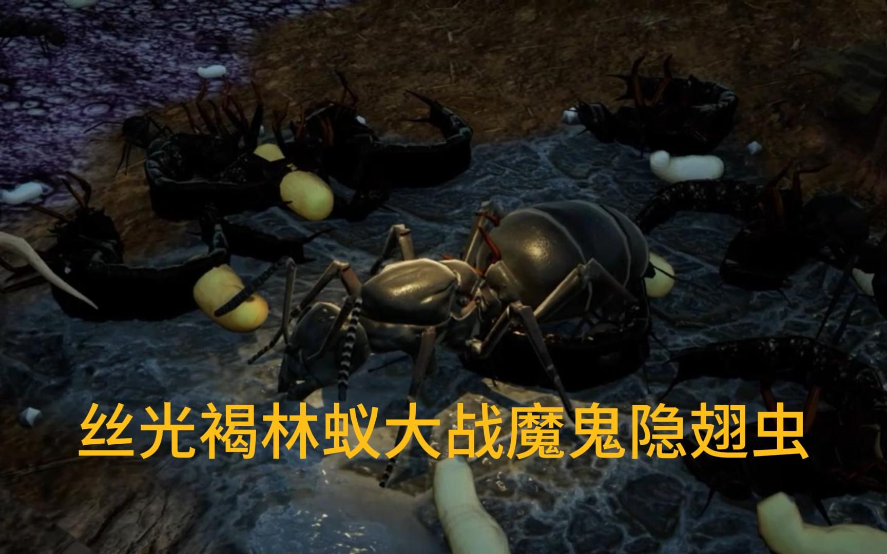 地下蚁国 故事模式 1.1新家园 丝光褐林蚁的历练