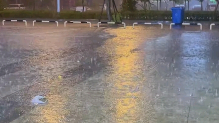 [图]昨天晚上下了好大的雨，地上都是水