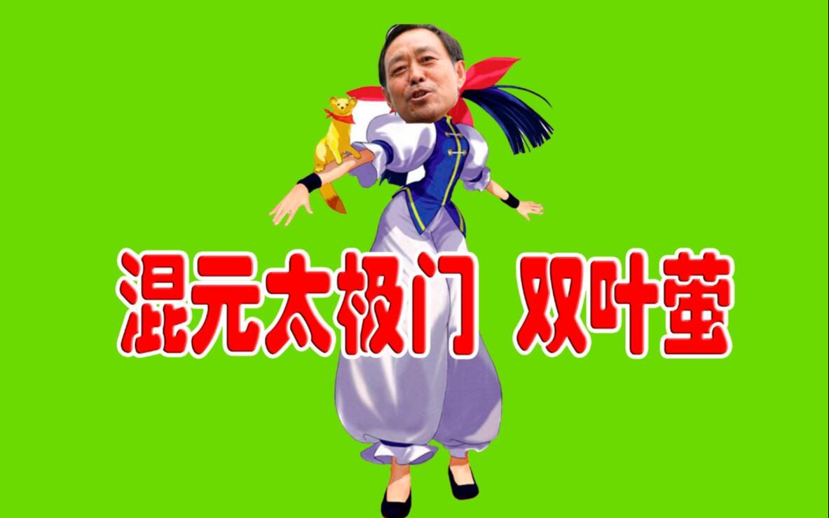 混元太极门双叶萤_哔哩哔哩 (゜-゜)つロ 干杯~-bilibili