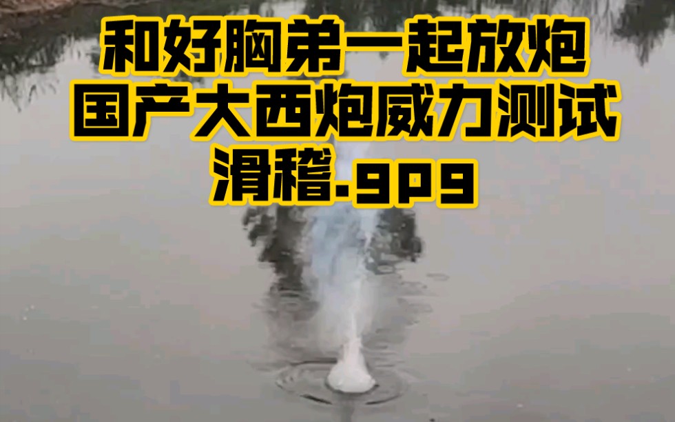 快过年了和好胸弟一起放炮驱赶年兽国产大西炮测试威力巨大