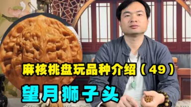 文玩核桃龙门涧-哔哩哔哩_Bilibili
