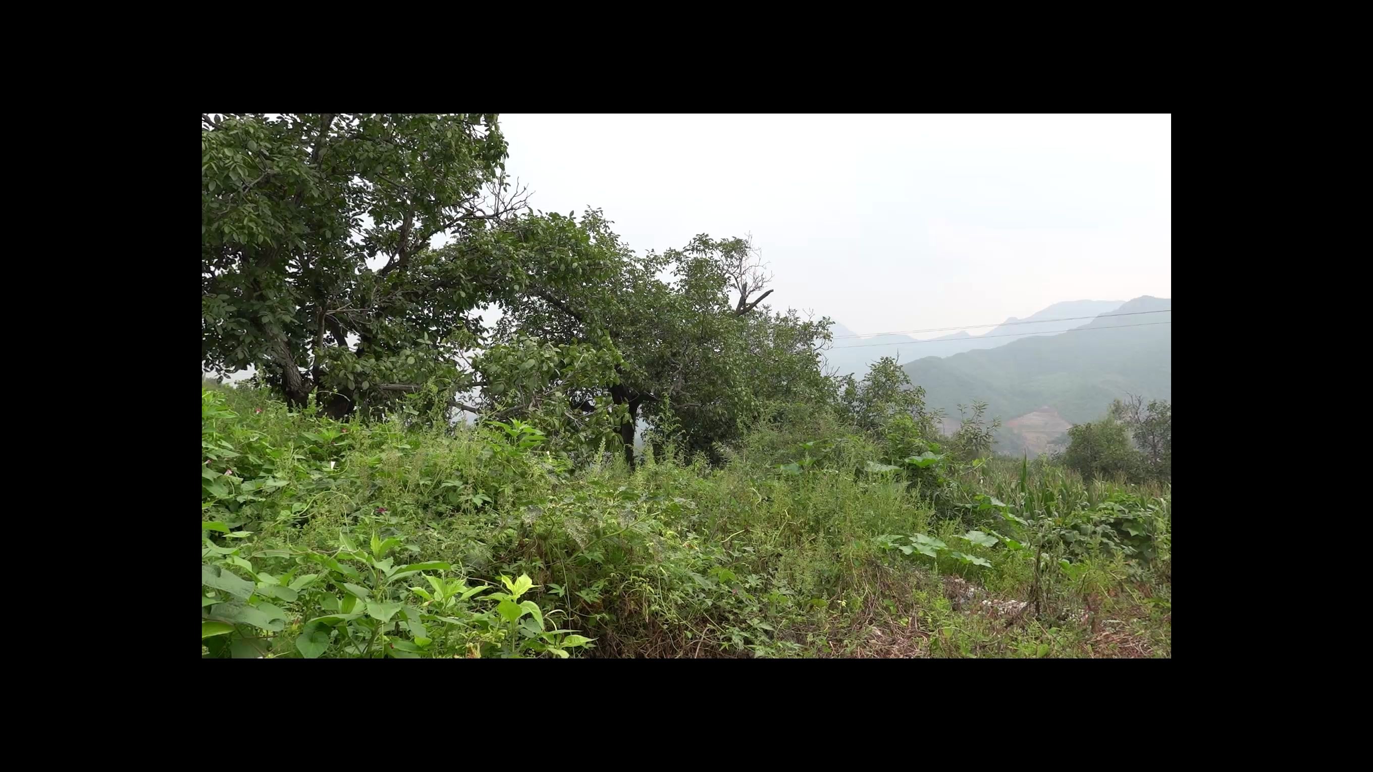 北京门头沟天璇大峡谷十里草甸象鼻山栢峪穿越哔哩哔哩bilibili