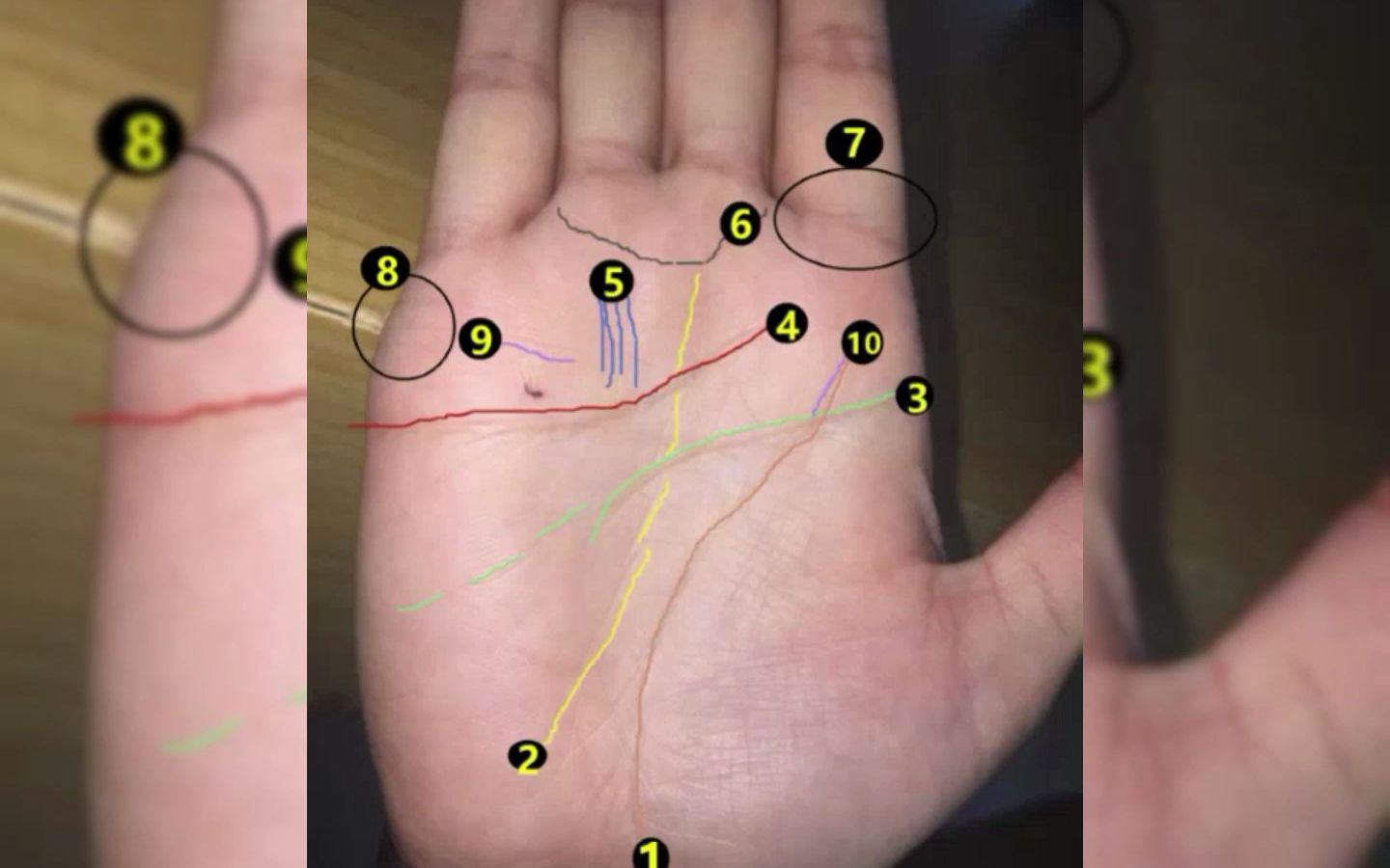 传统手相解析:手掌中出现的“特殊符号”有什么意义?哔哩哔哩bilibili
