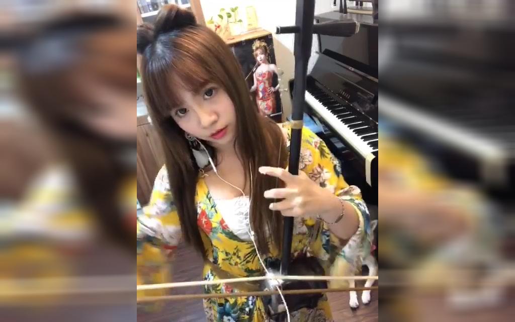 二胡依琳三生三世十里桃花