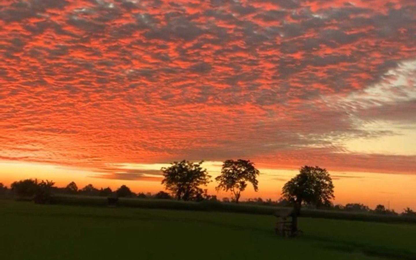 [图]“云层有个小卖部，货架堆着岁月和夕阳”