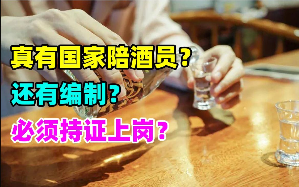 听说过国家陪酒员吗?据说陪酒员还有编制?还必须持证上岗?哔哩哔哩bilibili