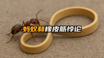 颠覆你认知的蚂蚁和橡皮绳悖论