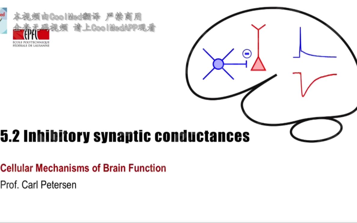 【脑功能的细胞机制】5.2 抑制突触电导哔哩哔哩bilibili