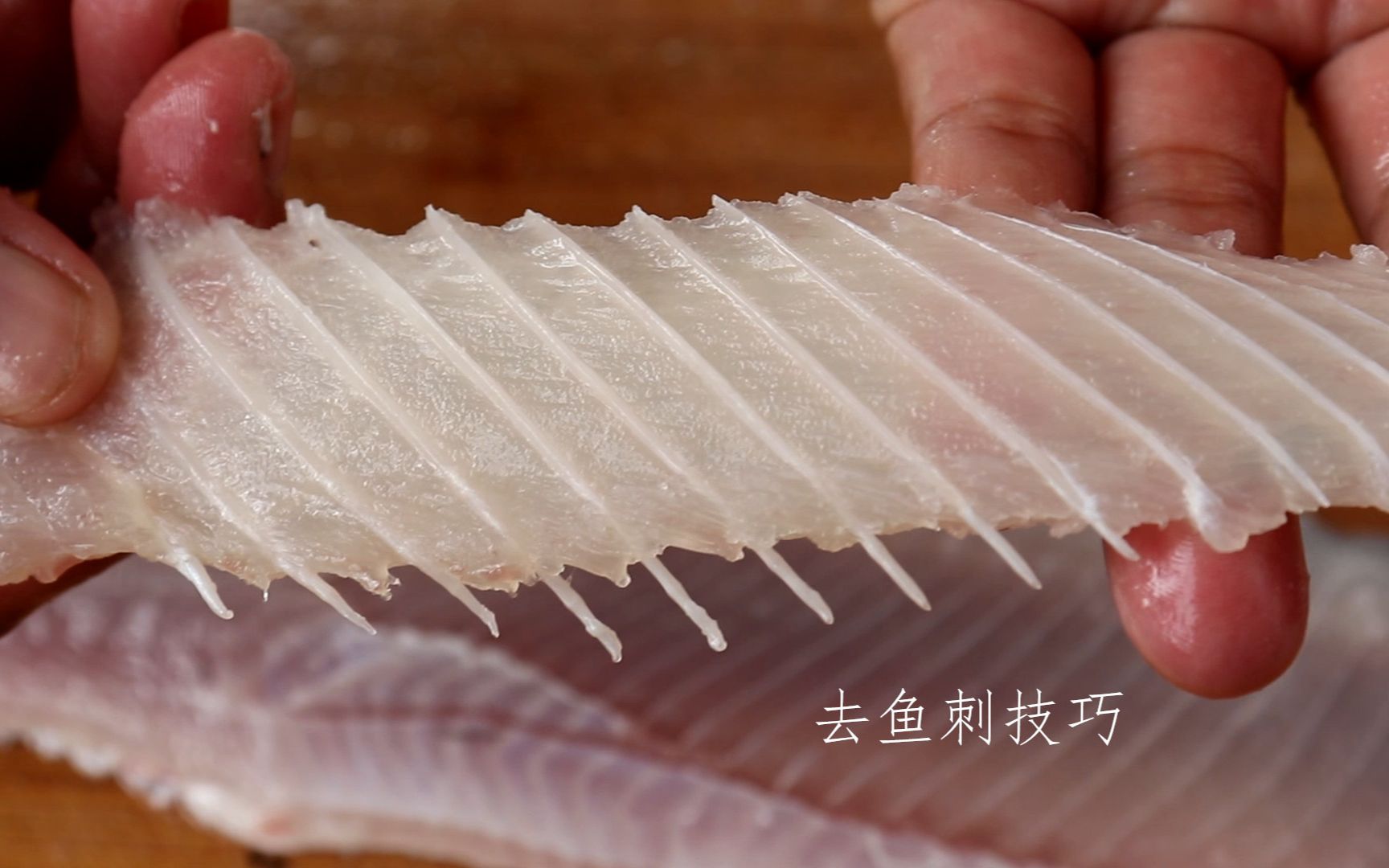草鱼鱼刺结构图图片