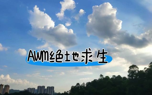 [图]你是我的AWM 上