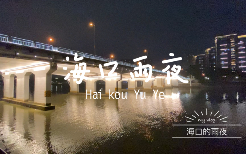 [图]海口夜晚的绵绵细雨