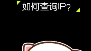 如何查询IP?哔哩哔哩bilibili