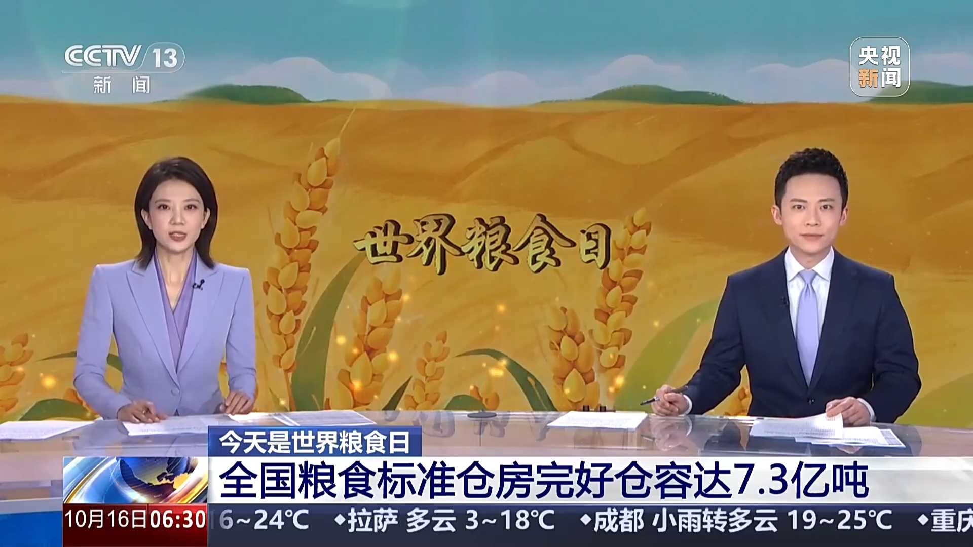 今天是世界粮食日 全国粮食标准仓房完好仓容达7.3亿吨