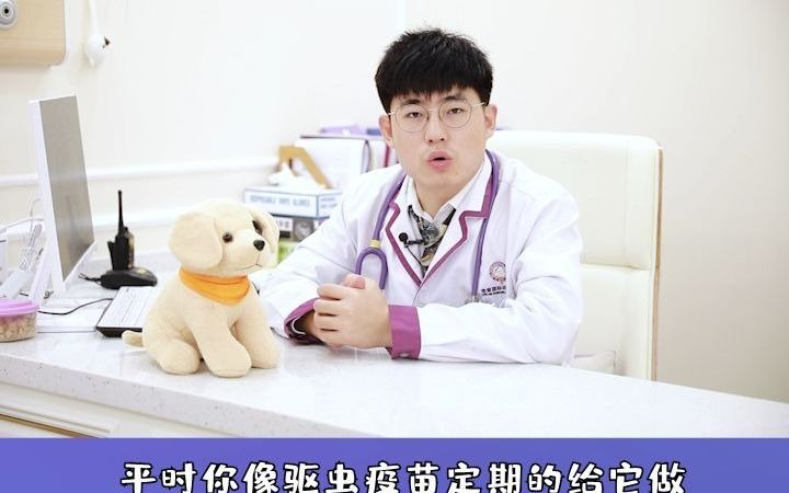 英短猫寿命多少年?科学喂养,悉心照料才能长久陪伴#营养健康#科学养宠攻略#铲屎官哔哩哔哩bilibili