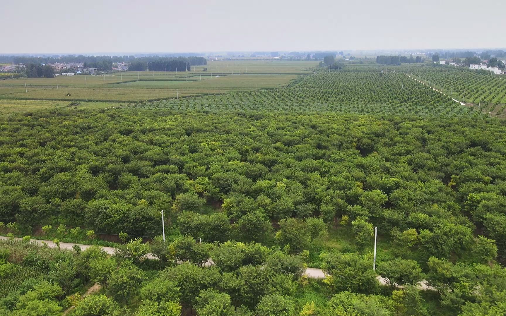 姜楼村南部周围,安徽省阜阳市界首市邴集乡西南部