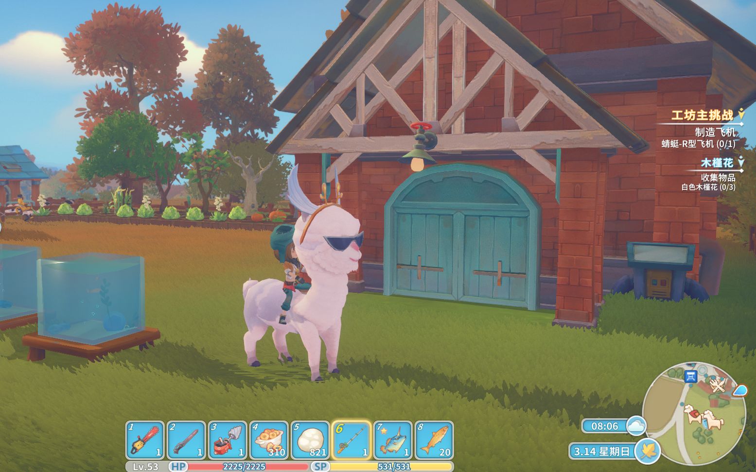 这只羊驼还戴墨镜的——波西亚时光之坐骑比赛