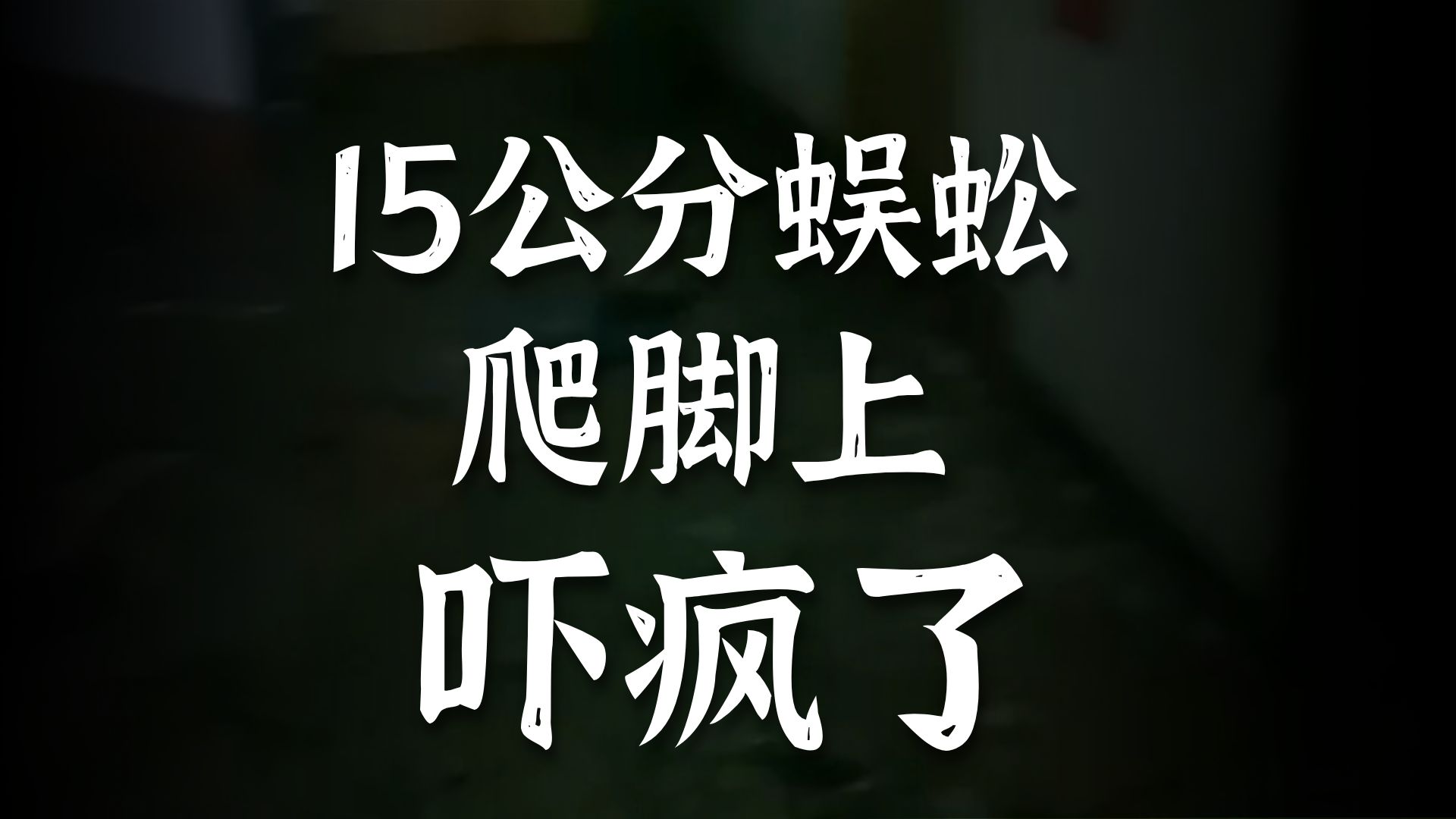 废弃医院  26.8.31     户外探险大壮