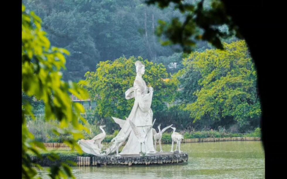 沉浸式拍照/肇庆端州登记处/新环境户外风景肇庆端州婚姻登记处新址长者公园内沉浸式拍照,户外风景谁都谁好看户外环境休闲森系哔哩哔哩bilibili