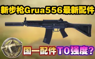 Tải video: 新步枪Grua556最新配件！国一配件T0强度？