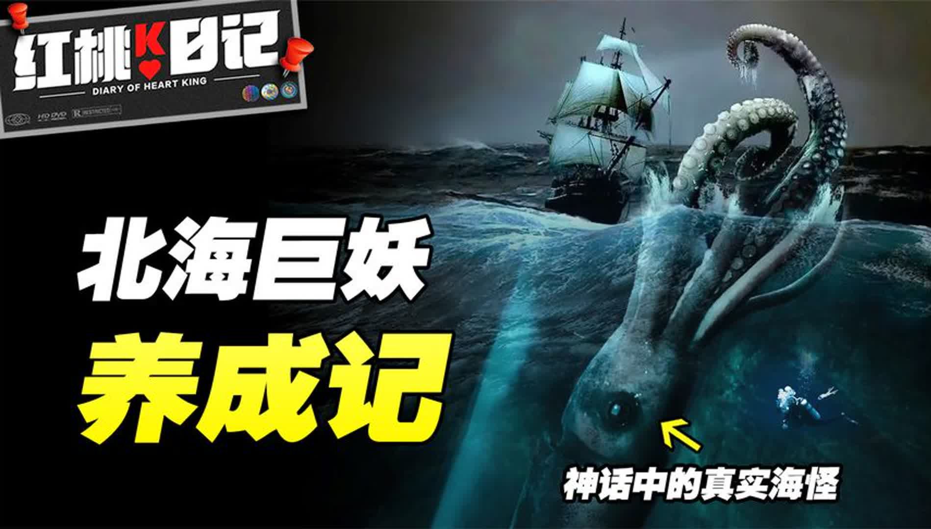 北欧神话中的真实海怪到底是啥?深海生物为何进化的如此巨大哔哩哔哩bilibili