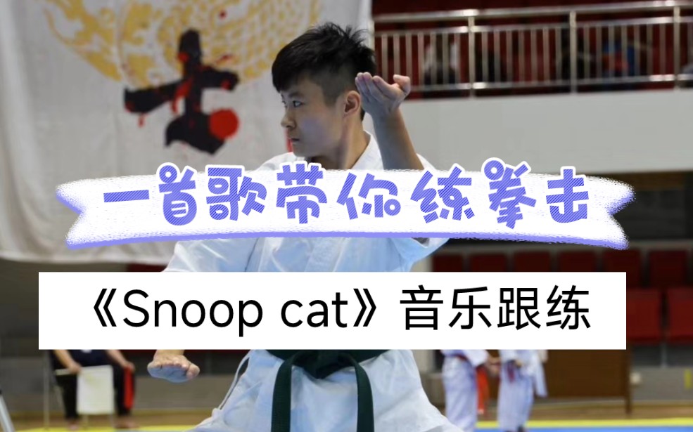 原创音乐健身搏击,2分钟跟《Snoop cat》的音乐一起练拳击,基础拳击动作配合音乐,一起来打卡哔哩哔哩bilibili